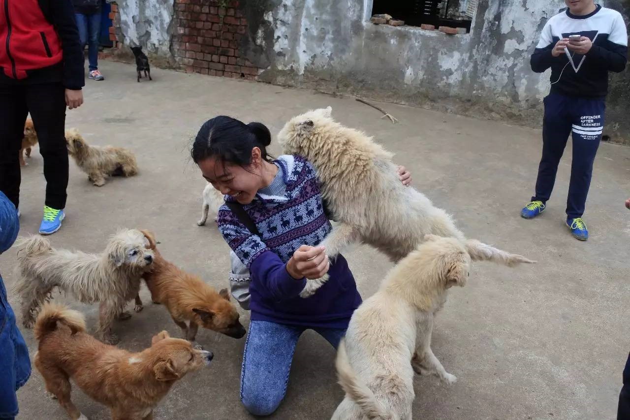 //mmbiz.qlogo.cn/mmbiz/6JbAdGRicscShyDOCzMibia52asqE5Xm8F8eibPlU467cmBzc5sHzxPhm1Lp4QsHQbtXqeLKA9U8rBzvK0r9gqkOLA/0?wx_fmt=jpeg